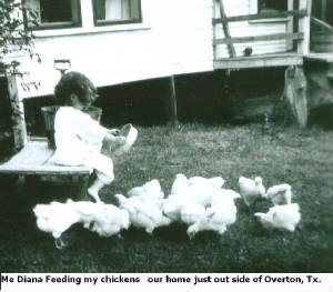 dianafeedingchickens.jpg